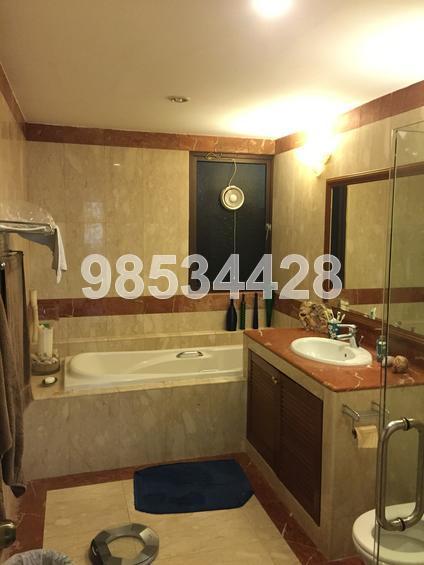 Pandan Valley (D21), Condominium #125852902